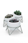 Potsy, Set of 3 Desktop Planters for Succulents - White/Nickel