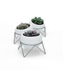 Potsy, Set of 3 Desktop Planters for Succulents - White/Nickel