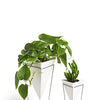 Desktop Planter Vase & Geometric Container