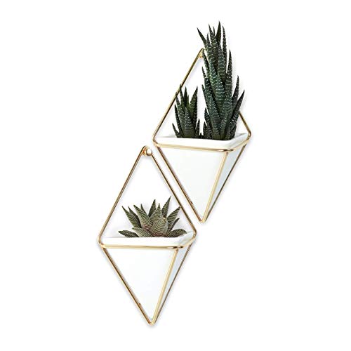 Hanging Planter Vase & Geometric Wall Decor Container, Small, White/Brass