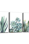 Canvas Wall Art - Green Succulents, 3 pack