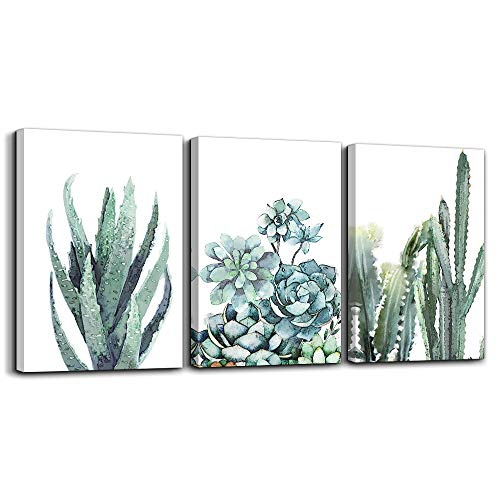 Canvas Wall Art - Green Succulents, 3 pack