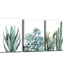 Canvas Wall Art - Green Succulents, 3 pack