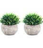 Small Artificial Faux Greenery for House Decorations